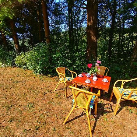 Kuca Za Odmor "Livadica" Villa Netretic Kültér fotó