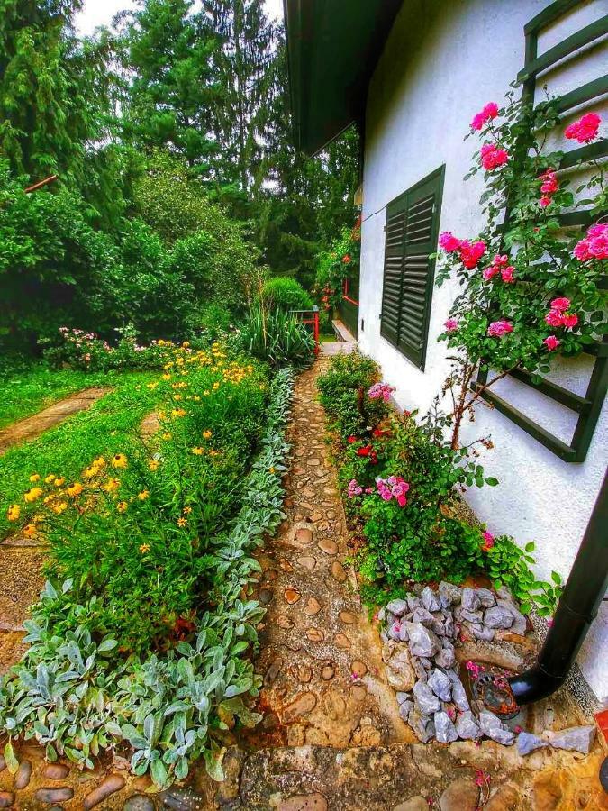 Kuca Za Odmor "Livadica" Villa Netretic Kültér fotó